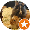 Charlene Hood Charlene Hood